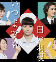 いつまでも白い羽根