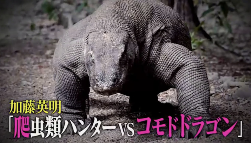 加藤英明 クレイジージャーニー