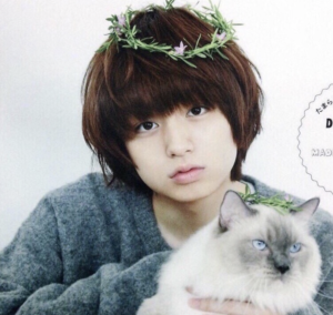 ジャニーズ かわいい顔ランキング 人気順 可愛い 最新